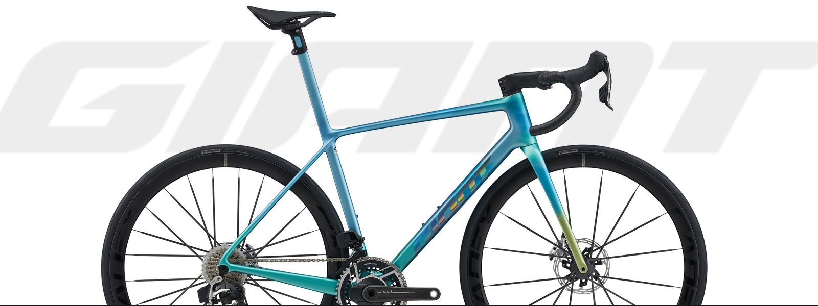 Giant Bikes