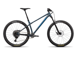 Santa Cruz Chameleon