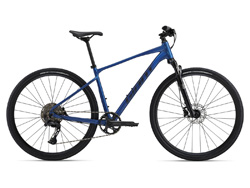 Giant Roam 1
