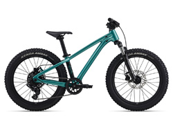Giant STP 24 FS