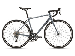 Giant Contend  2
