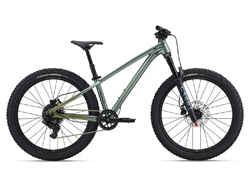 Giant STP 24