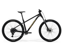 Merida Big Trail 300