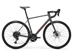 Merida Scultura Endurance 300